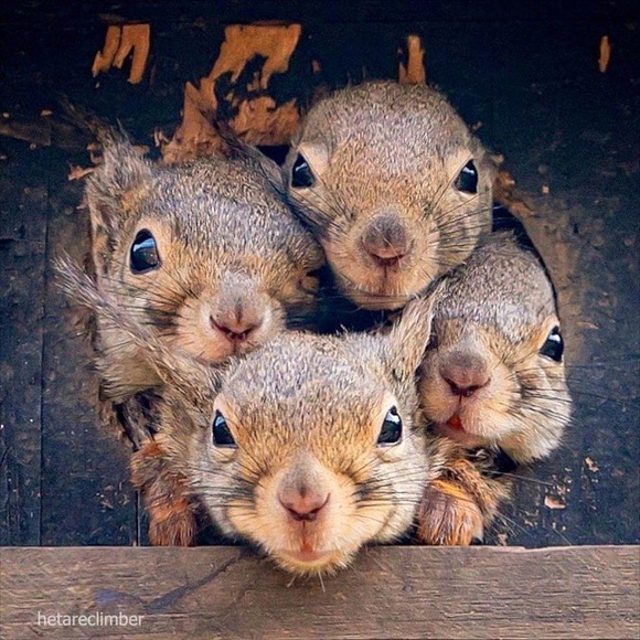 Checking out PoshMark?! Make offers! Look Fabulous! ๐๐๐ก๐๐ - Picture 1 of 1